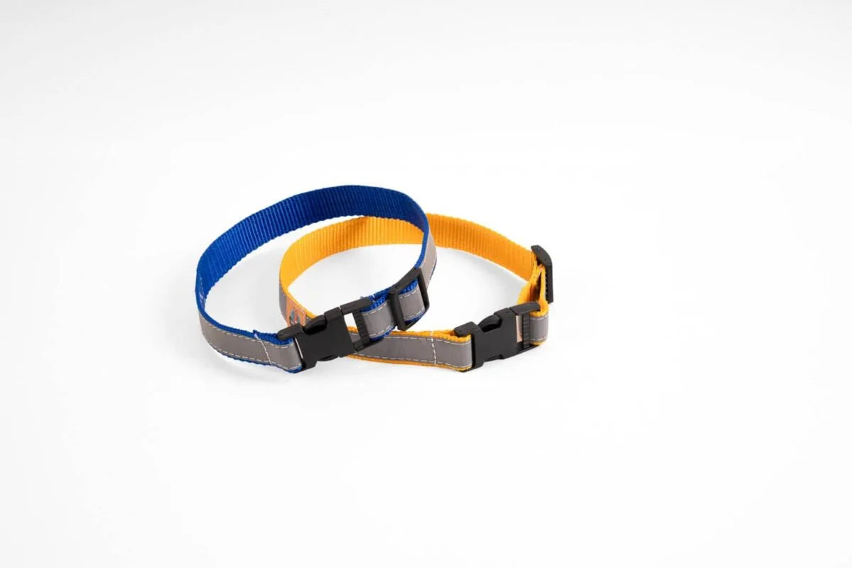 Reflective Dog Collar