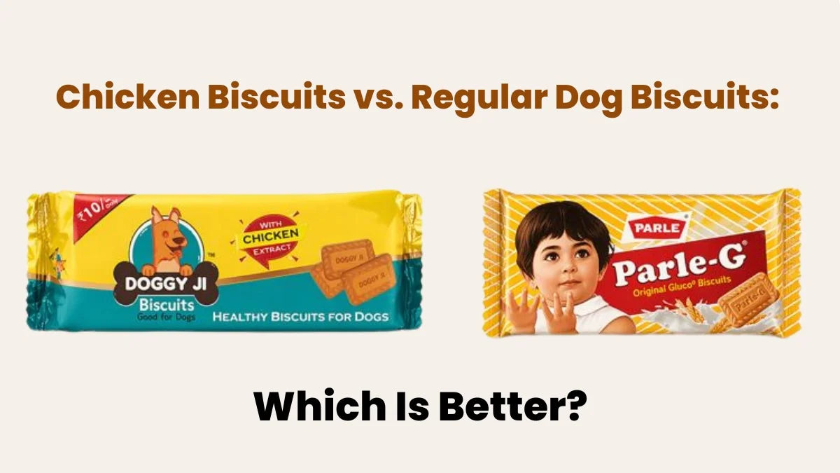 Chicken Biscuits vs. Regular Dog Biscuits