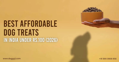 Best Affordable Dog Treats in India