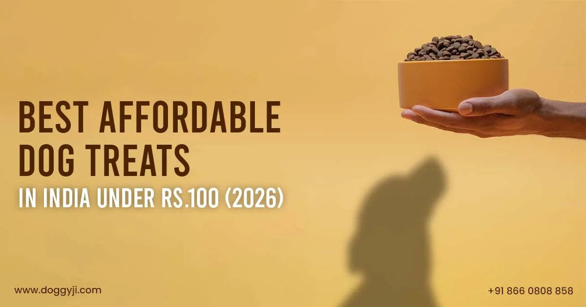 Best Affordable Dog Treats in India