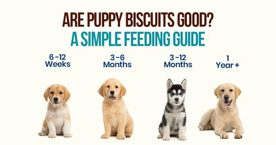 Puppy Biscuits Good