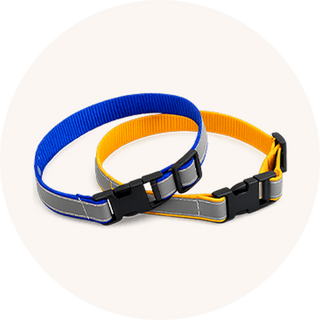 Dog Accessories