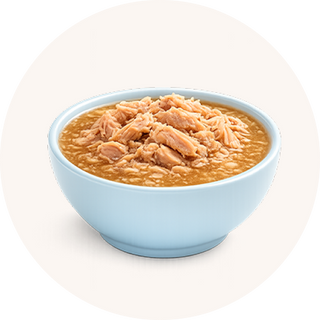 Dog Wet Food