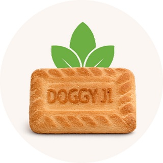 Vegan Biscuits
