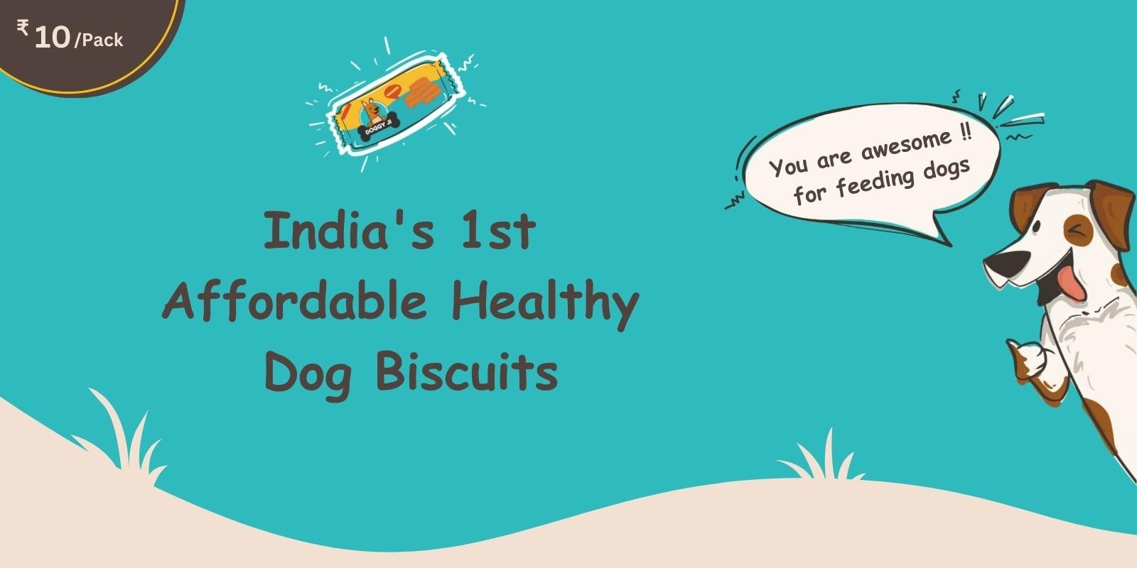 Dog top biscuits online