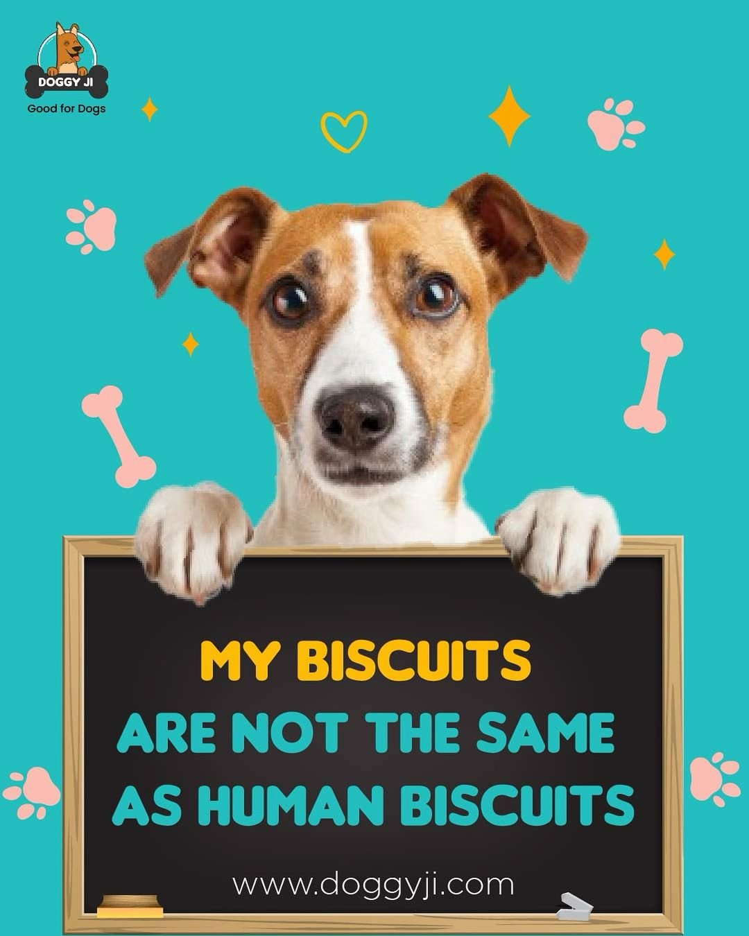 How Harmful Are Human Biscuits to Dogs Doggy Ji Blog